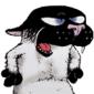Avatar de rober1972