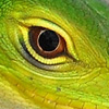 Avatar de hBarrios