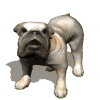 Avatar de Borco