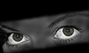Avatar de pilar2580