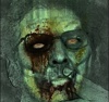 Avatar de eduvitale