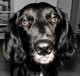 Avatar de txester79