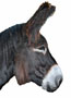 Avatar de JeMar