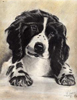 Avatar de Alfonso_51