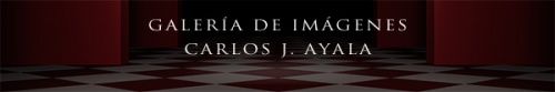 http://www.carlosjayala.com